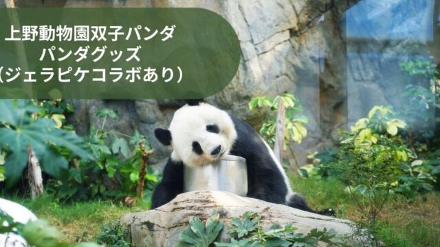 上野動物園双子パンダの赤ちゃん誕生記念！パンダグッズ （ジェラピケコラボあり） (1)