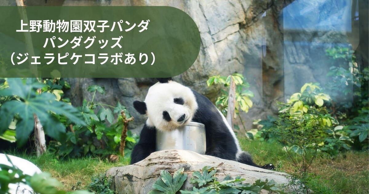 上野動物園双子パンダの赤ちゃん誕生記念！パンダグッズ （ジェラピケコラボあり） (1)